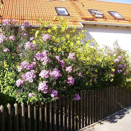 Villa Wiflinger Graben Einfamilienhaus Wörth Esterno foto