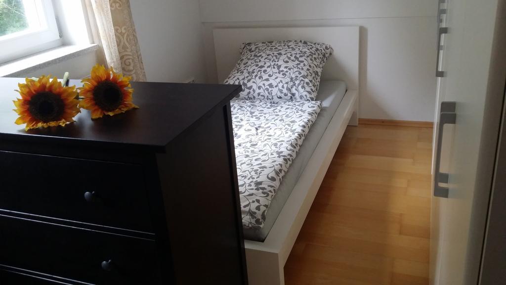 Villa Wiflinger Graben Einfamilienhaus Wörth Esterno foto