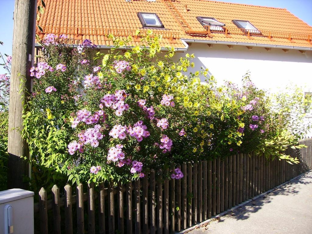 Villa Wiflinger Graben Einfamilienhaus Wörth Esterno foto