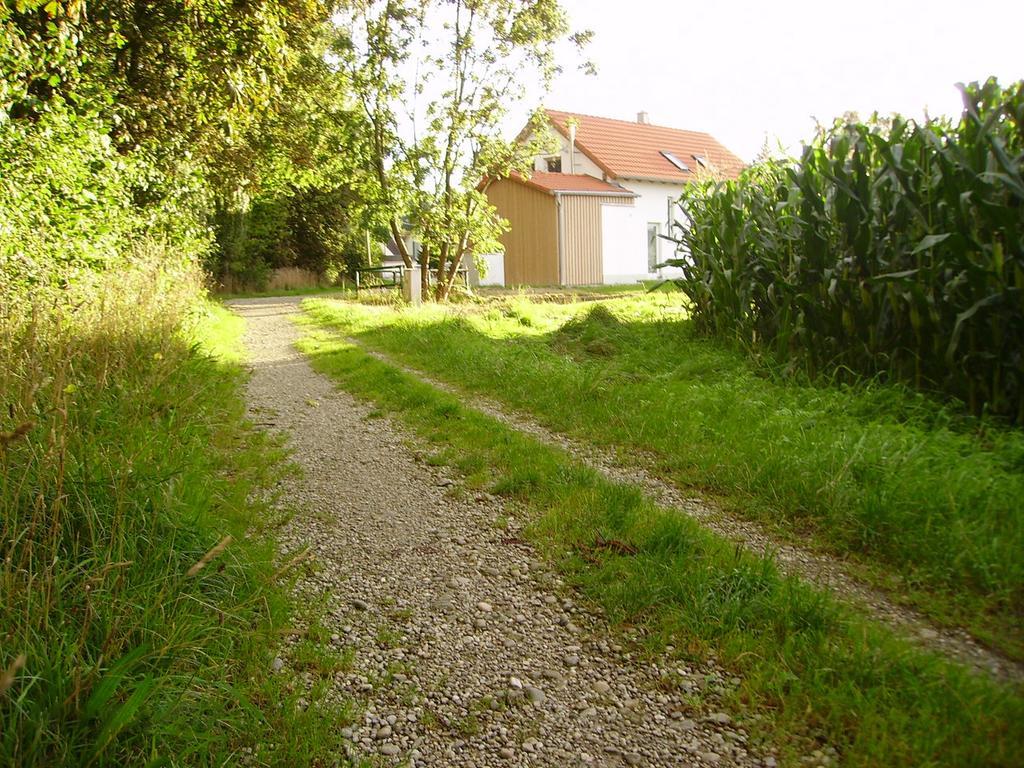Villa Wiflinger Graben Einfamilienhaus Wörth Esterno foto